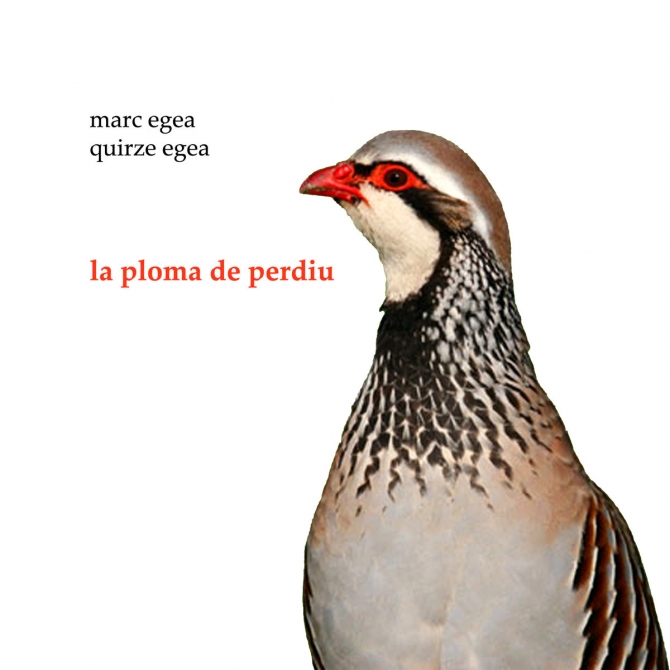 La ploma de perdiu